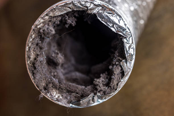 Best Ductwork Cleaning Services  in Fort Hunt, VA