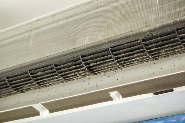 Best Home Air Vent Cleaning  in Fort Hunt, VA